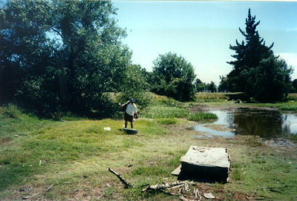 T-Bird water hazard