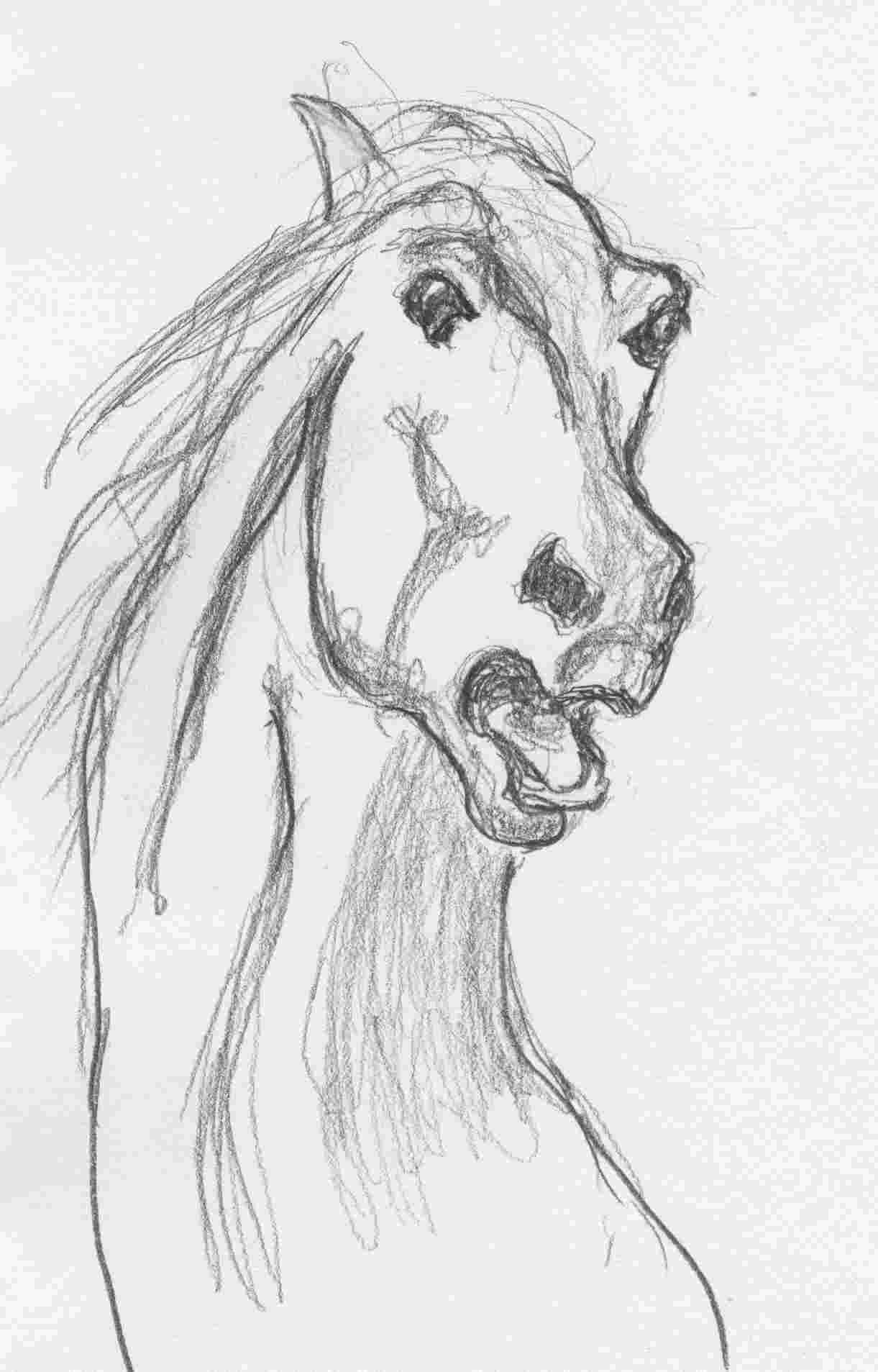[Horse]